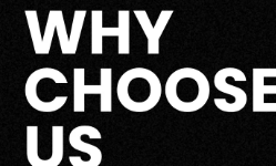 Why Sustainable MMO Always Looks Slow at the Start